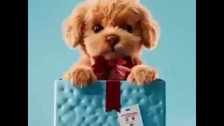 My Realistic Robot Puppy