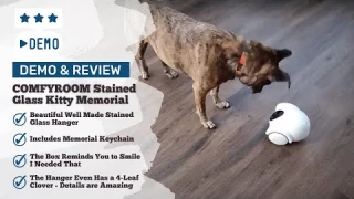 🐾 Transform Your Pet's Alone Time into a PARTAYYY with THE GULIGULI Hiibo Dog Camera! 🐾