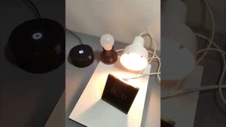 Умный выключатель с Алисой черный двухклавишный ZigBee #алиса #умныйдом #яндексстанция #zigbee