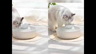 Фонтан поилка для кошек и собак Керамический, с фильтром, блоком питания USB, объем 2.1л