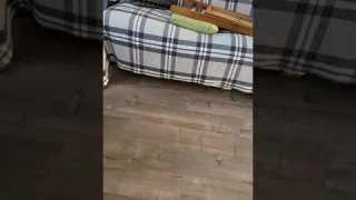 робот-поломойщик 2