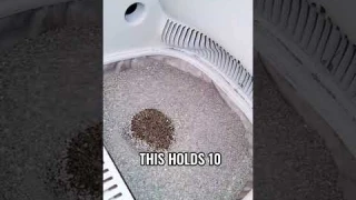 Autoscooper 11 Self-Cleaning Litter Box Review | Perfect for Multi-Cat Homes #cat