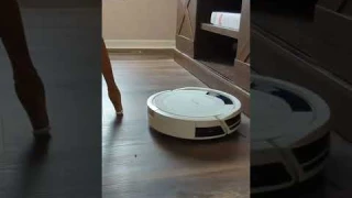 Shark AV752 ION Robot Vacuum #shorts