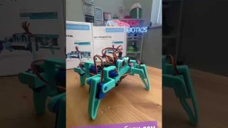 Программируемый Робот-паук Квадропод для детей