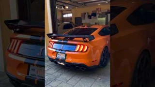 Shelby GT500 Rolling! 🐍