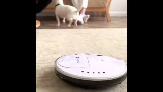 Робот-Пылесос Digmentary с функцией влажной уборки