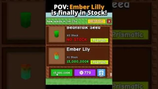 POV: the Ember Lily is finally on Stock in Grow a Garden #roblox #growagarden