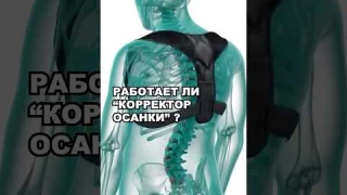 РАБОТАЮТ ЛИ КОРРЕКТОРЫ ОСАНКИ?