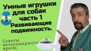 Умные игрушки для собаки