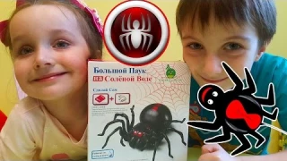 ГИГАНТСКИЙ РОБОТ ПАУК DIY робот паук на соленой воде КАК СДЕЛАТЬ СВОИМИ РУКАМИ Робота Паука