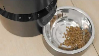 Petlibro Granary Single & Dual Bowl Feeder | How to assemble & set up