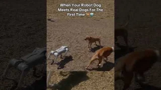 Taking Unitree's Go2 Pro Robot Dog to the Dog Park