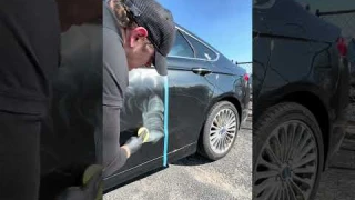 Save Your Car Paint & Your Money!