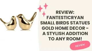 Review: FANTESTICRYAN Small Birds Statues Gold Home Decor - A Stylish Addition to Any Room!