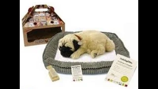 Небольшие покупки и Интерактивная, дышащая собачка"Perfct Petzzz"