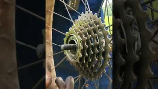 Normal Cycle To Gear 🚴‍♀️ #shorts