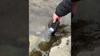 Обзор на HOTWAV W11