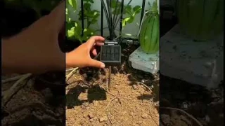 Рубрика "🔥 или 💩"?  Оцени этот гаджет. Садовый светильник на солнечной батарее, в стиле "Avatar"