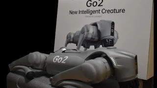 Робопёс Unitree GO2 PRO, распаковка и первое знакомство