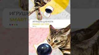 🐈‍⬛Развлечение и тренировка в одном устройстве | Игрушка для животных Smart Cat Toy