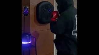 Тренировочная мишень для бокса