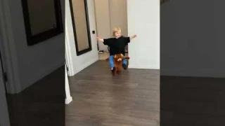 Медведь украл ребёнка🐻👧🏼😂