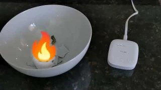 Demo of YoLink SpeakerHub with Smart Smoke Alarm, Water Leak Detector and Door Sensor