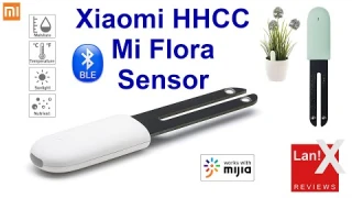 Xiaomi HHCC Mi Flora Sensor (Unbox/Install/Demo)