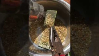 AMD Sempron Cpu processor .Removing pins For Gold Recovery . gold recovery from cpu Processors