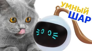 Игрушка для кошек и собак, мячик робот движущийся с LED подсветкой Pet Ball D48 заряжаемый USB