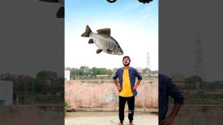 Biscuit, fish, dairy milk, icecream vs Red chilli Pacman - Funny vfx magic