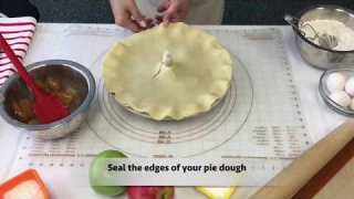 Pie Bird-Porcelain Pie Bird- Mrs. Anderson’s Baking