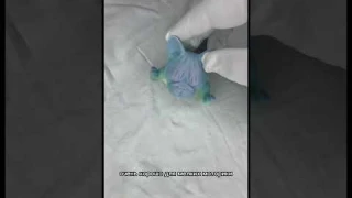 Собака бульдог на заказ 417349942 #распаковка #wildberries #3d #игрушки#3дпечать