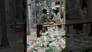 Maize seed packaging 🌽 #maize #seeds #processing #research #machine #shorts