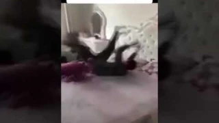Утро в общаге - мем #мемы #мем  #общага #таракан #meme #memes #cockroach #beatboxmemes #beatbox