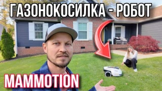 У нас появился помощник / Газонокосилка mammotion