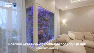 🔴 Эксклюзивный морской угловой аквариум