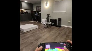 Unitree Robot Dog Go2 | NEW AI Update! 🤯