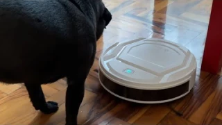 ОБЗОР НА РОБОТ ПЫЛЕСОС LEFANT M210