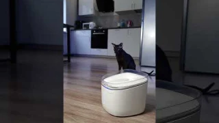 Питьевые фонтанчики Petoneer позаботятся, чтобы питомец пил не только свежую, но и чистую воду.