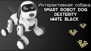 Обзор интерактивной собаки SMART ROBOT DOG