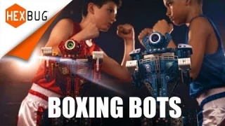 HEXBUG Boxing Bots