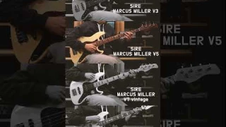 SIRE Marcus Miller V3 vs V5 vs V7 vintage vs V8