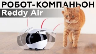 Обзор робота-компаньона Reddy Air