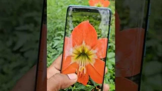 Motorola Edge 60 Fusion: The Camera You Didn't Expect