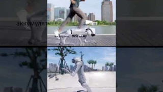 робопёс Unitree Go 2 за $1600 #анонс #новости #смартфон