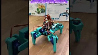 Программируемый Робот-паук Квадропод для детей / Enjoy Robotics