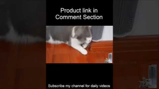 Cat Soft Corner Self Groomer with Catnip Massage Comb #shorts #cat #cats #catvideos #unifect