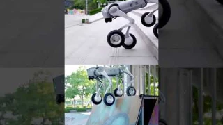 Go2 теперь на колесах — оформите предзаказ в 3Logic Group