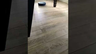 Robot cleanerMODEL:BR151